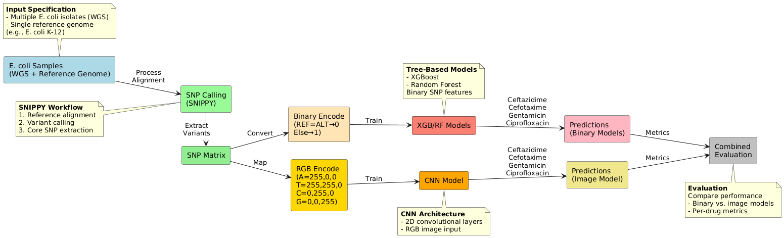 Research Workflow